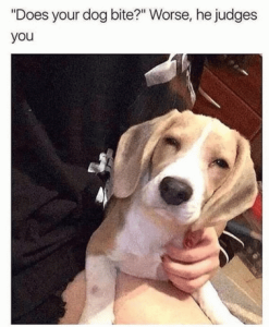Stupid Bar Memes a3558c2929557860