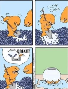 Stupid Bar Memes a7qABqes700b