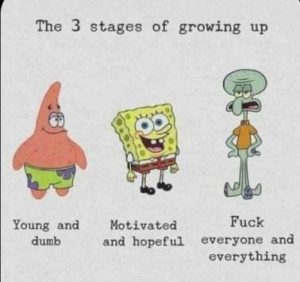 Stupid Bar Memes a8e4ec895cb7ecfd