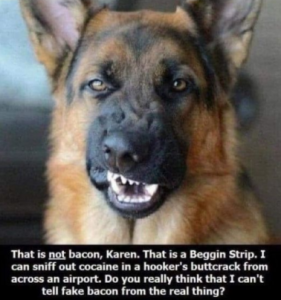 Stupid Bar Memes a93c421ca0979051
