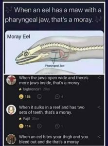 Stupid Bar Memes a9782b9e15385bce