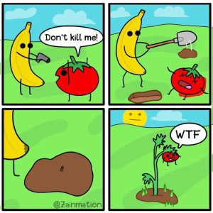 Stupid Bar Memes aBdNrNOs700b