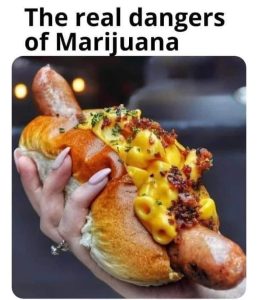 Stupid Bar Memes aWGdzEZs700b