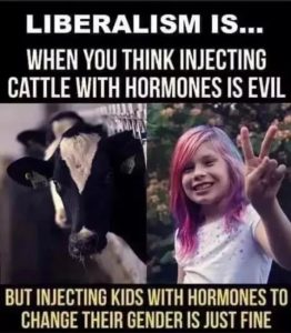 Stupid Bar Memes acb175140fa59dcc