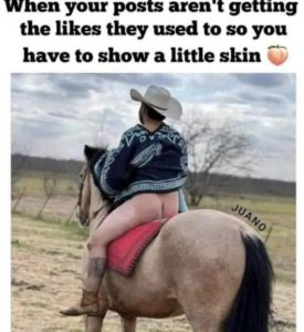 Stupid Bar Memes add330f755115e16