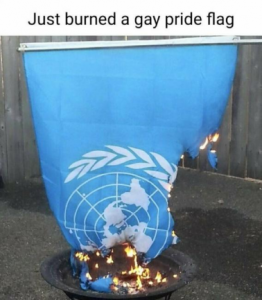 Stupid Bar Memes ae5424ca00e98eeb
