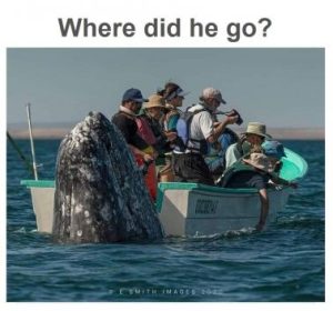 Stupid Bar Memes b14f17e408ca6a7a