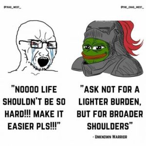 Stupid Bar Memes b286ac53f42db6c9