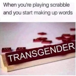 Stupid Bar Memes b5e52ad4c9d7821f