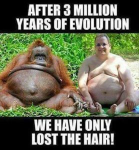 Stupid Bar Memes b6b591cc07f22838