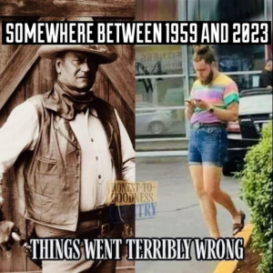 Stupid Bar Memes b83153518ebbcd34
