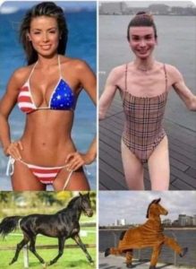 Stupid Bar Memes b9efb5285e8ddd6a