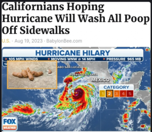 Stupid Bar Memes ba0f4000603f6e73