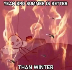 Stupid Bar Memes bb2dc6c475c306e4