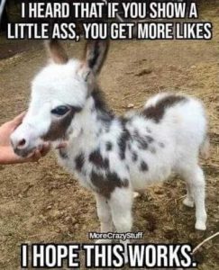 Stupid Bar Memes bf31cb7549592a50