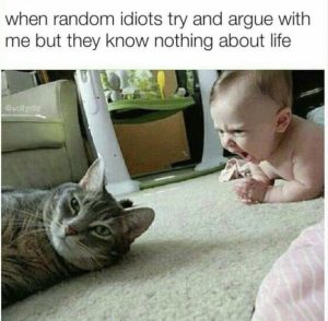 Stupid Bar Memes bf64ace8e94f40da