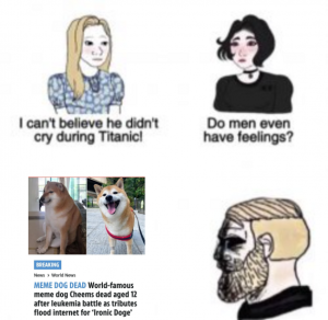 Stupid Bar Memes bf73a42c0d2d5741
