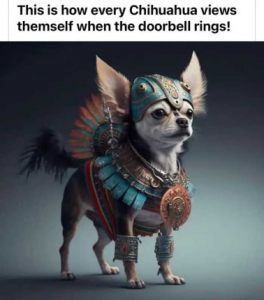 Stupid Bar Memes c0ab77d7c14e0072