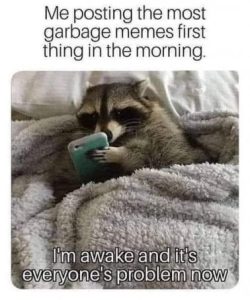 Stupid Bar Memes c16dface5aa0281d