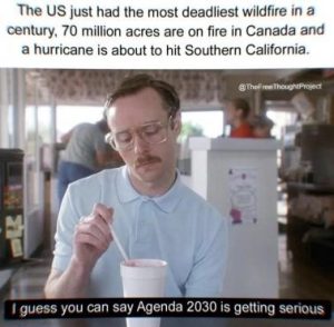 Stupid Bar Memes c87203485647f08c