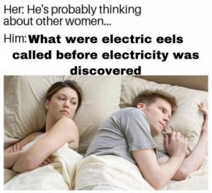 Stupid Bar Memes c9b47f4569f18225
