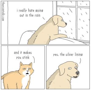 Stupid Bar Memes cUx093k