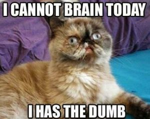Stupid Bar Memes cd64162e5d1f2e4e