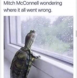 Stupid Bar Memes ce38aaf087cc74d4