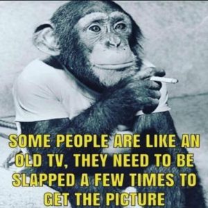 Stupid Bar Memes cf974f31df84e990