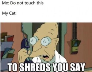 Stupid Bar Memes d7bd7b2264d176ac