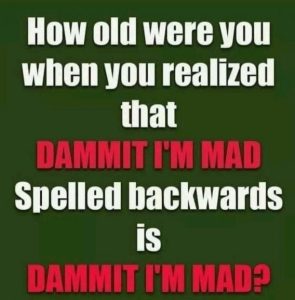 Stupid Bar Memes d8ed7030f5a3a2e4