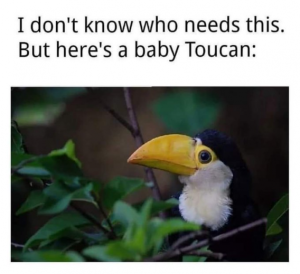 Stupid Bar Memes d9163c6077eeeb02