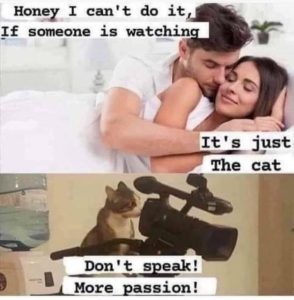Stupid Bar Memes dbdc740308f9b416