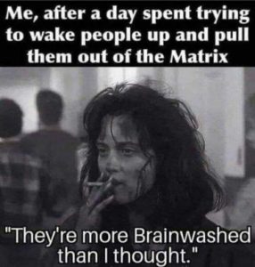Stupid Bar Memes de87e07b4920fae0