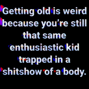 Stupid Bar Memes e273d2ed20ad32dd
