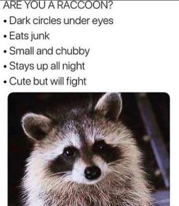 Stupid Bar Memes e309cf19aee36594