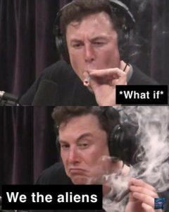 Stupid Bar Memes e384de24be11e7ae