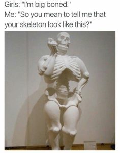Stupid Bar Memes e64bc7f238699081