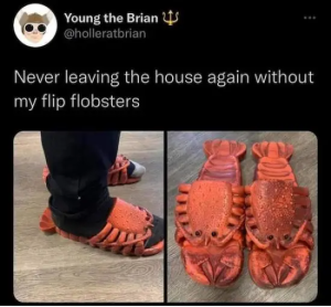 Stupid Bar Memes eARDcNg