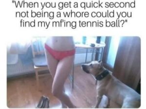 Stupid Bar Memes ec47012c8a5b79ae