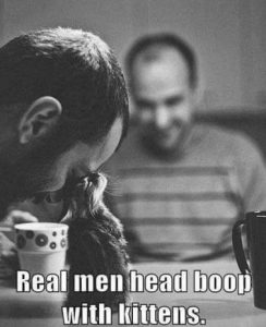 Stupid Bar Memes ec772f542fd29cc8
