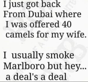 Stupid Bar Memes ed2a13fa95813ee7