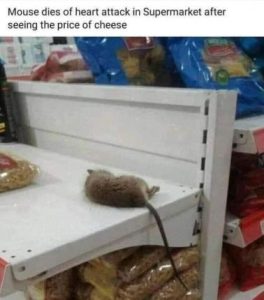 Stupid Bar Memes f27987ceffe97f18