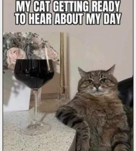 Stupid Bar Memes f2a9360d1493793f