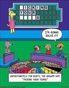 Stupid Bar Memes f2b6015eaf686661