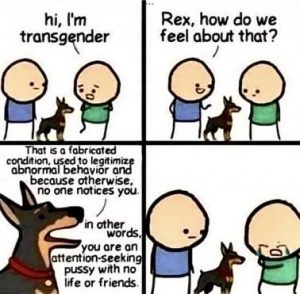 Stupid Bar Memes f3124771efc2f6cc