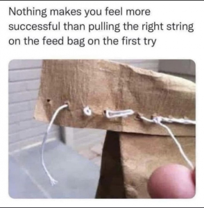 Stupid Bar Memes f51e82ee665400f9