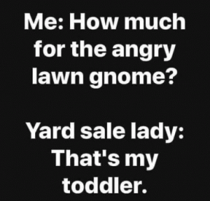 Stupid Bar Memes f5da8775a6473fc7