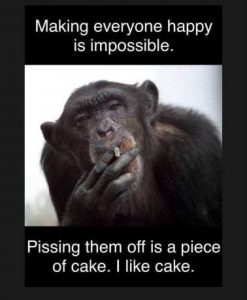 Stupid Bar Memes f7864abc508cb16b