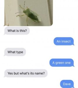 Stupid Bar Memes f9e901460a476d2d